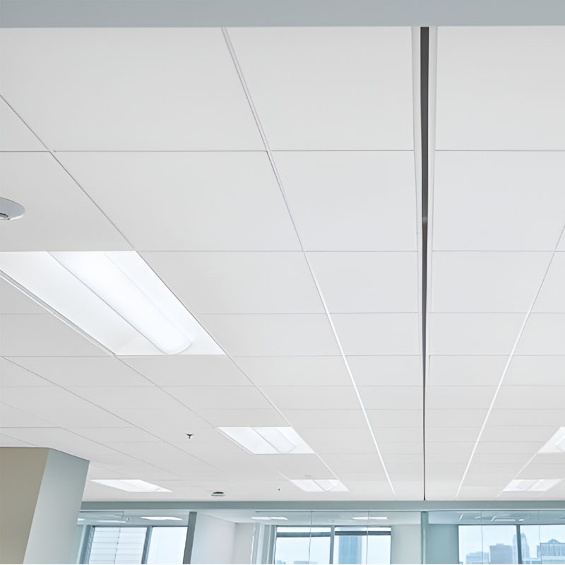 Acoustical Ceiling Contractors